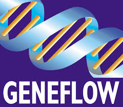 Geneflow